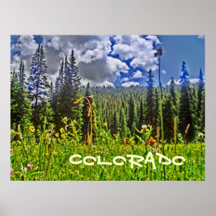 Colorado skogen scenic poster