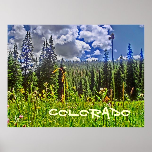 Colorado skogen scenic poster (Framsidan)