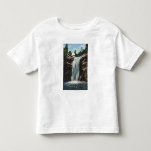 Colorado Springs CO - möhippan skyler nedgångar T-shirt