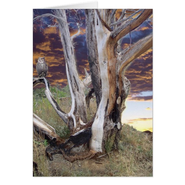 Colorado Sunset Hälsningskort (Framsidan)