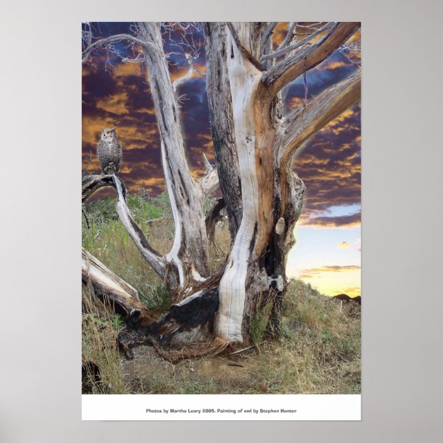 Colorado Sunset Poster (Framsidan)