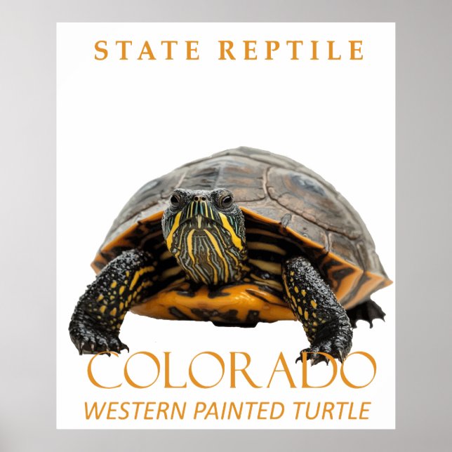 Colorado Territory Reptil Western Painted Turtle Poster (Framsidan)