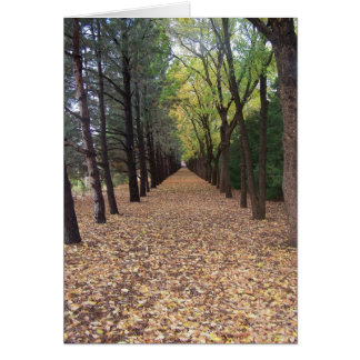 Colorado väg hälsningskort