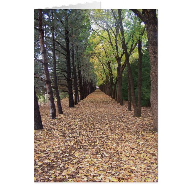 Colorado väg hälsningskort (Framsidan)