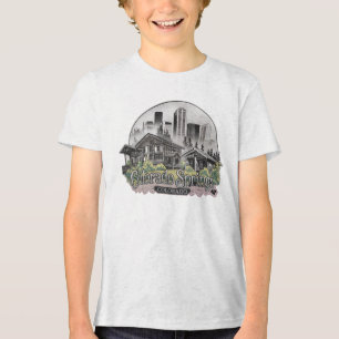 Colorado Vår City Colorado State USA T Shirt