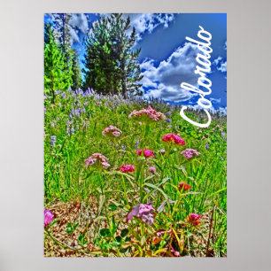 Colorado vår poster