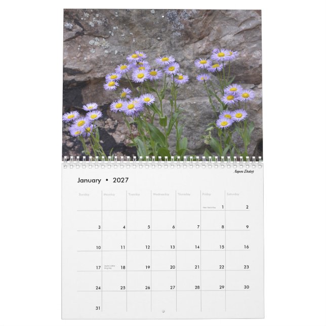 Colorado vildblommar kalender (Jan 2027)