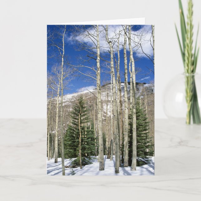 Colorado vildmark kort (Framsida)