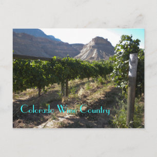 Colorado Vin Land Vykort