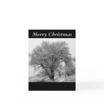 Colorado vinterjulkort