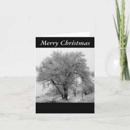 Colorado vinterjulkort helgkort