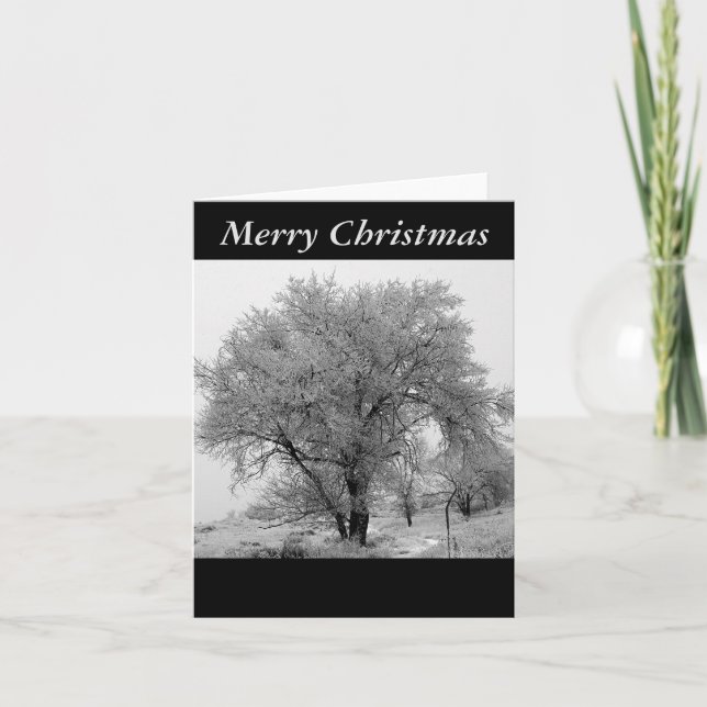 Colorado vinterjulkort helgkort (Framsida)