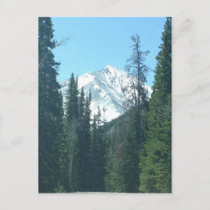 COLORADO VYKORT