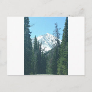 COLORADO VYKORT