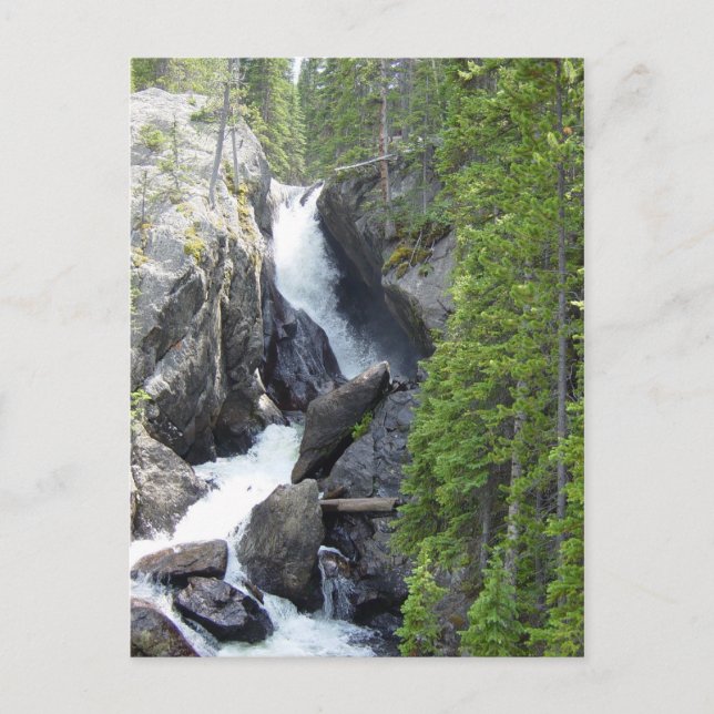 Colorado Waterfall vykort (Framsida)