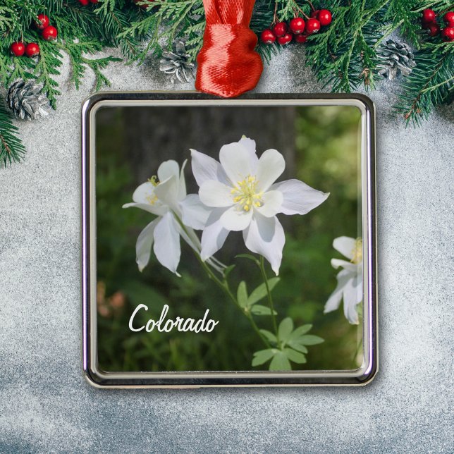 Colorado White Columbine jul Ornament (Skapare uppladdad)