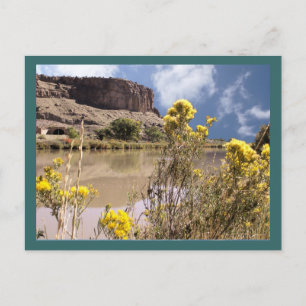 Colorado Wildblomvykort Vykort