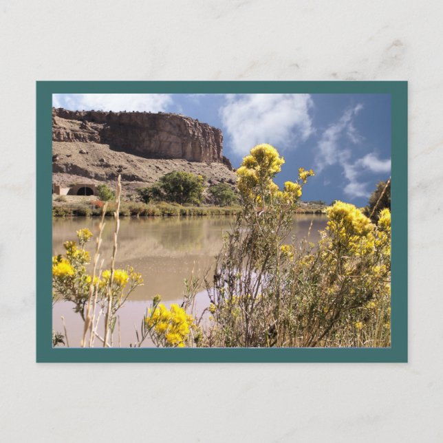 Colorado Wildblomvykort Vykort (Framsida)