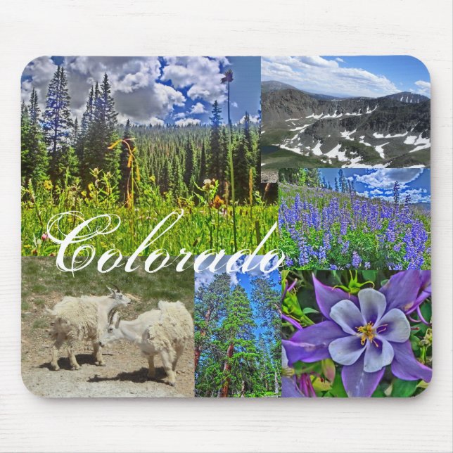 Colorado wildlife mousepad musmatta (Framsidan)