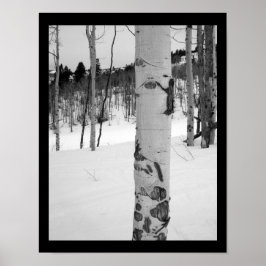 Colorado Winter Aspen Träd Poster