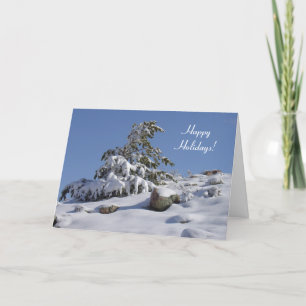 Colorado Winter Gräs-julkort Helgkort