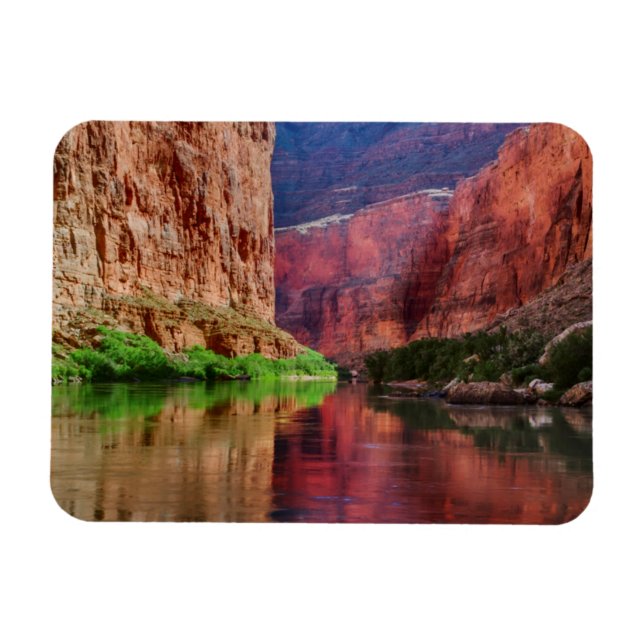 Coloradofloden i Grand Canyon, AZ Magnet (Horisontell)