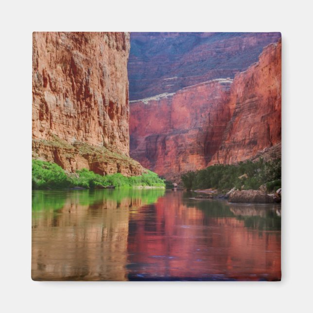 Coloradofloden i Grand Canyon, AZ Magnet (Framsidan)