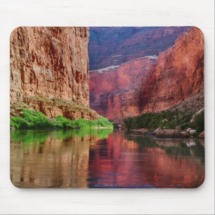 Coloradofloden i Grand Canyon, AZ Musmatta