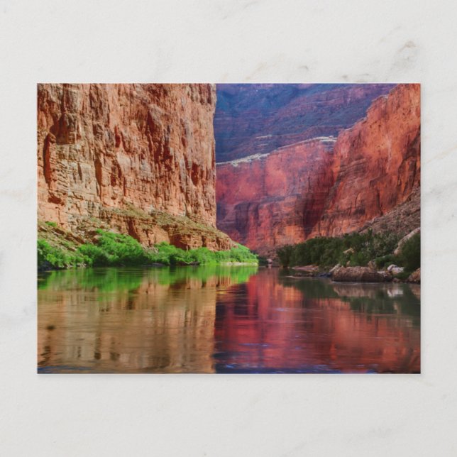 Coloradofloden i Grand Canyon, AZ Vykort (Framsida)