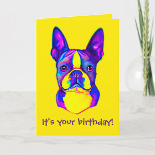 Colorent Grattis på födelsedagen Boston Terrier Kort