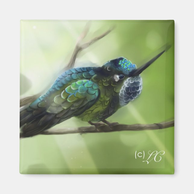 Colorfly Magnet (Framsidan)