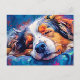 Colorful Australian shepherd sovande Vykort