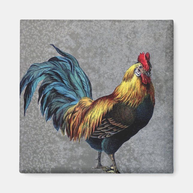 Colorful Bantam Tupp Magnet (Framsidan)
