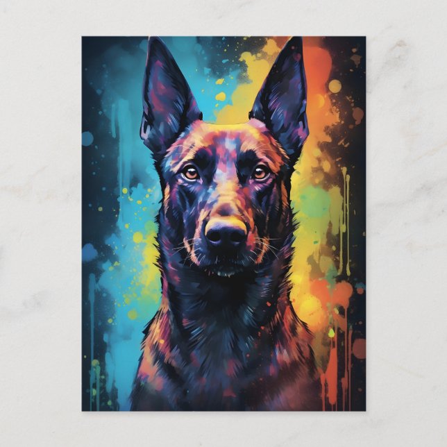 Colorful Belgium Malinois Vykort (Framsida)