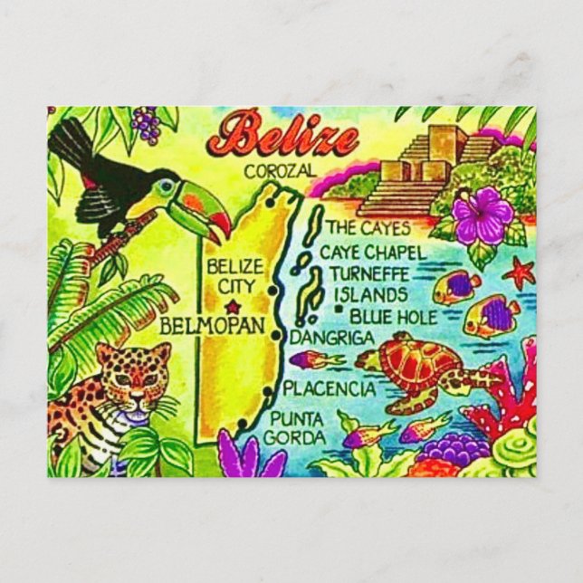 Colorful Belize Postcard Vykort (Framsida)