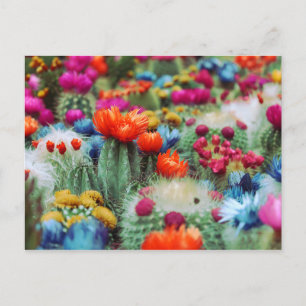 Colorful Blommar Cactus Garden Vykort