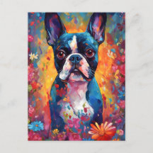 Colorful Boston Terrier