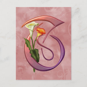 Colorful Calla Initial T Vykort