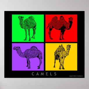 Colorful Camels Poster