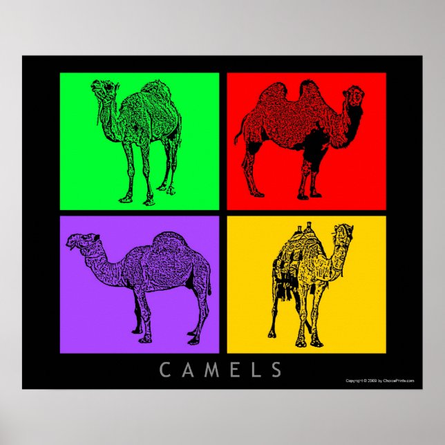 Colorful Camels Poster (Framsidan)