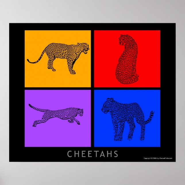 Colorful Cheetah Poster (Framsidan)