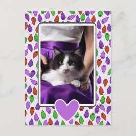 Colorful Christmas Lights Cat Vykort