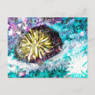 Colorful Coral Reef Sea Urchin Vykort