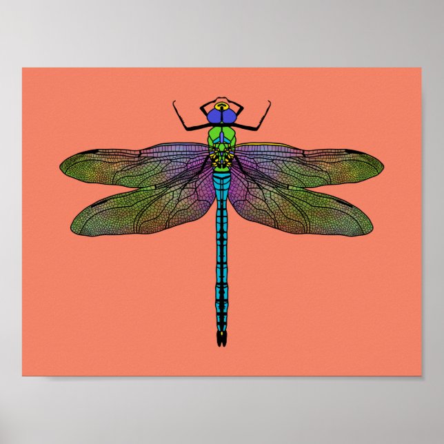 Colorful Emperor Dragonfly Art Poster (Framsidan)
