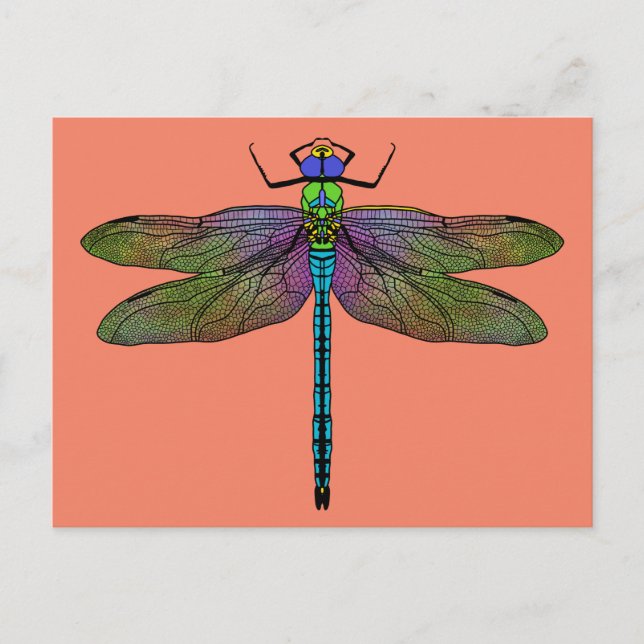 Colorful Emperor Dragonfly Art Vykort (Framsida)