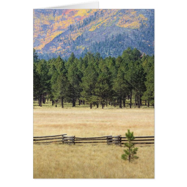 Colorful Flagstaff fält Hälsningskort (Framsidan)