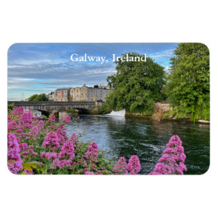 Colorful Flowers on River Corrib Galway, Irland 2 Magnet