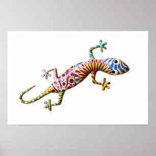 Colorful gekko-ödla poster