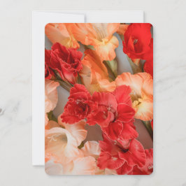 Colorful Gladiolus Flowers Julkort