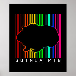 Colorful Guinea Gris Cute Guinea Älskare Cute Poster